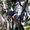 curso68.jpg (59673 bytes)