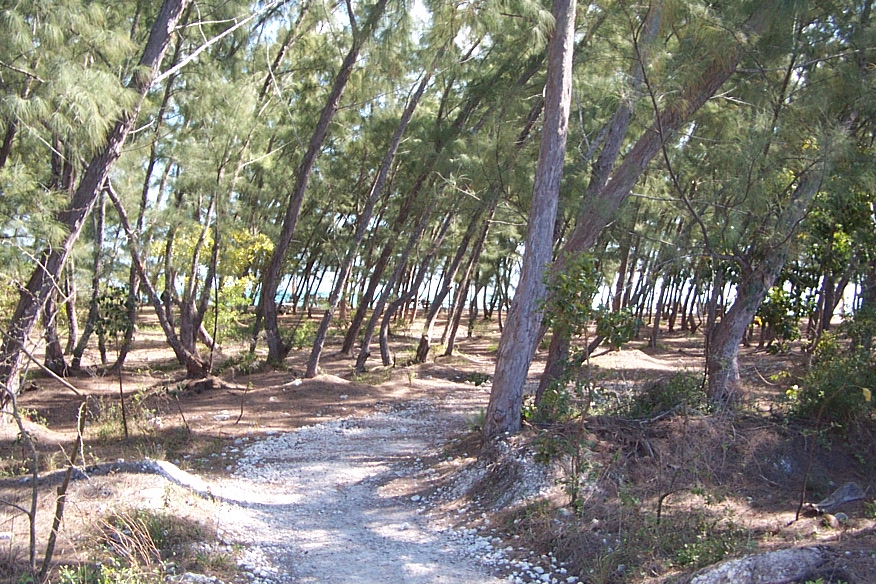Almost to the beach!