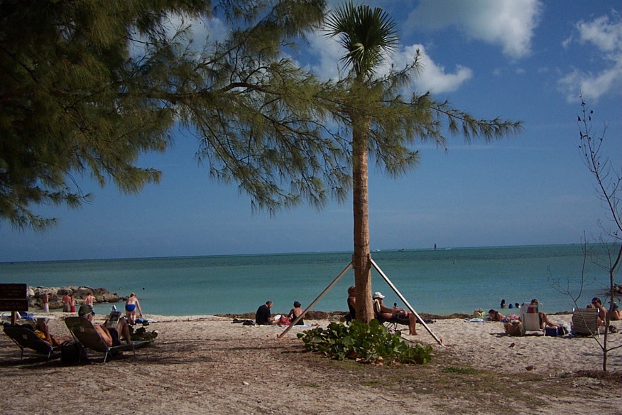 So nice it could be a postcard!
