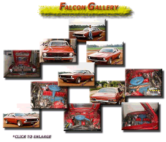 falcon_gallery.gif (84997 bytes)