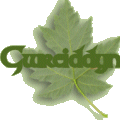Member Offerings