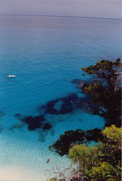 Paradiso