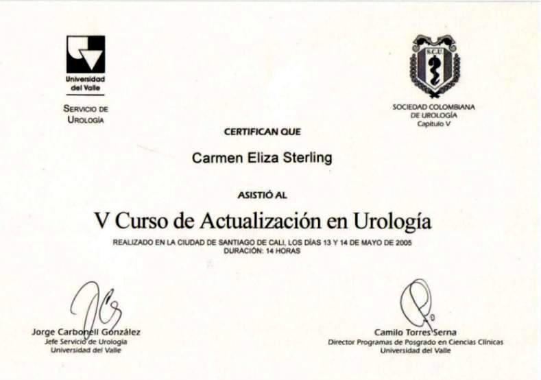 Actualizacion en Urologia