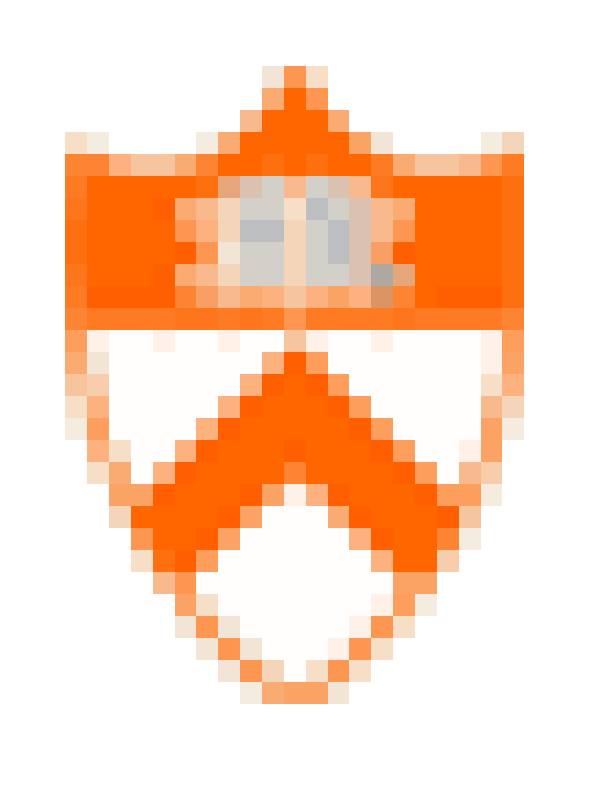 Princeton University