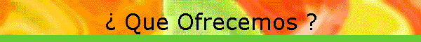 � Que Ofrecemos ?
