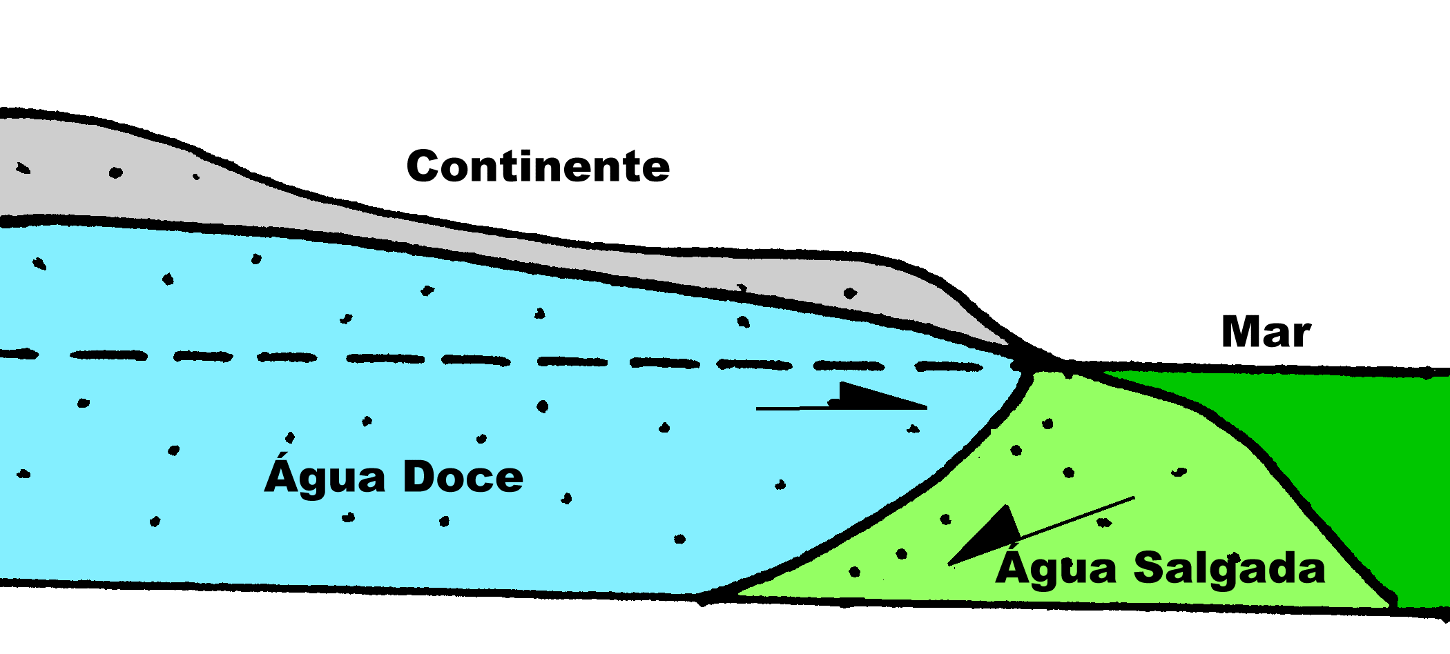 Aq&uuml;&iacute;fero Costeiro Livre