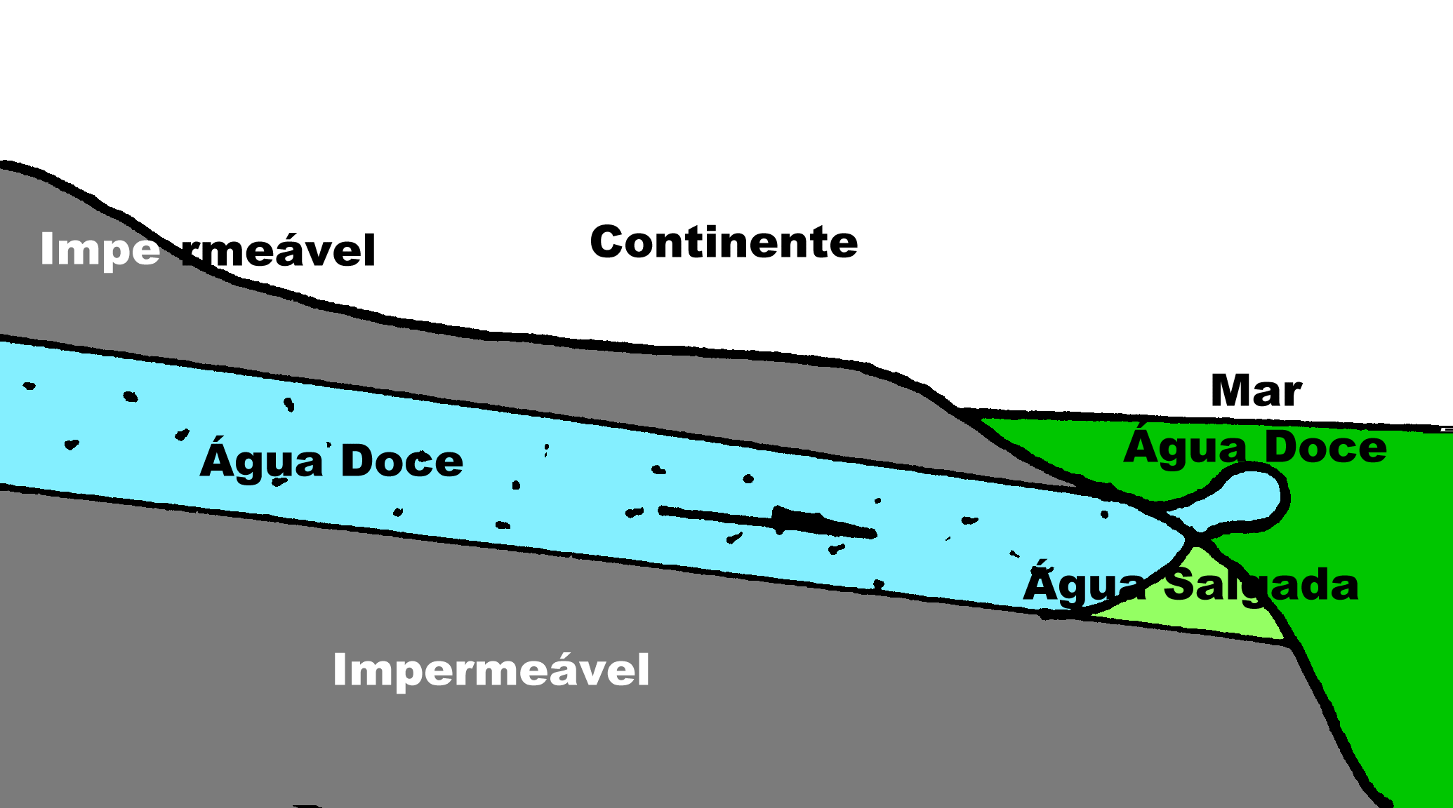 Aq&uuml;&iacute;fero Costeiro