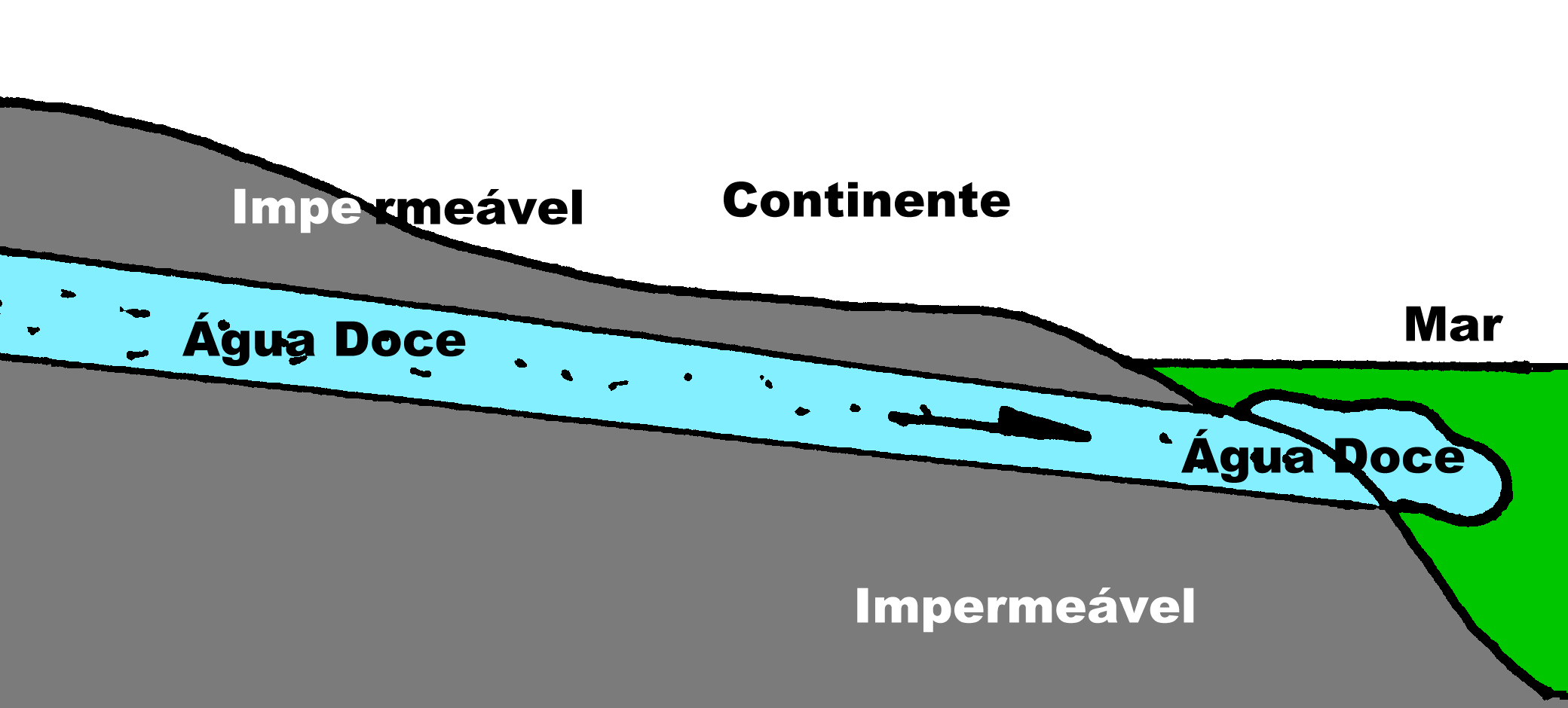 Aq&uuml;&iacute;fero Costeiro