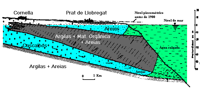 Aq&uuml;&iacute;fero Costeiro