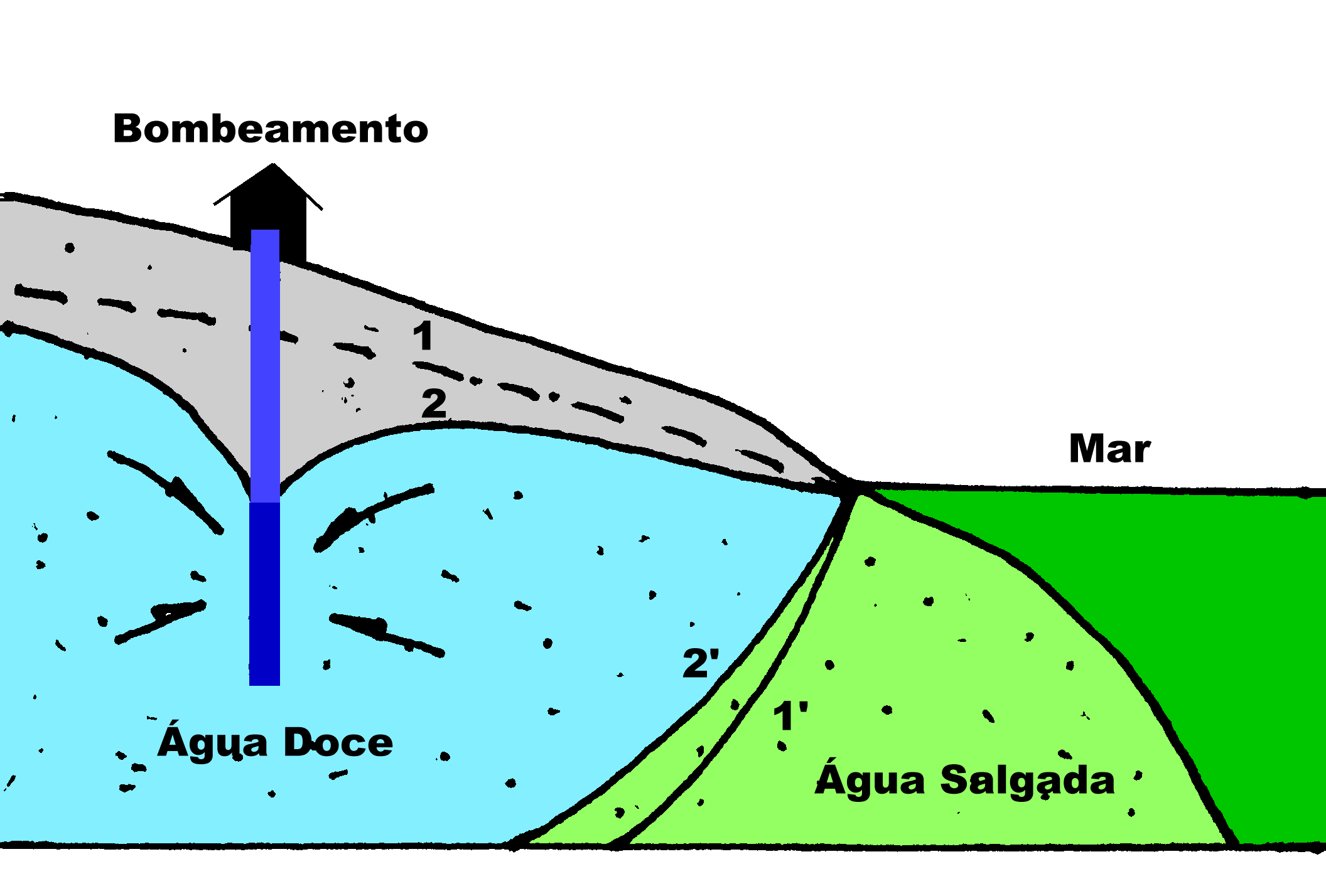 Aq&uuml;&iacute;fero Costeiro