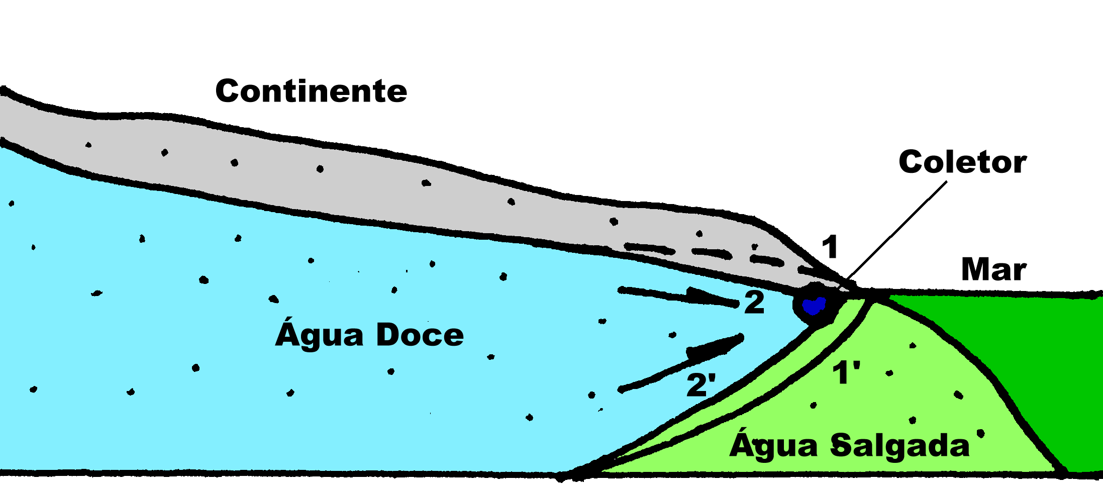 Aq&uuml;&iacute;fero Costeiro
