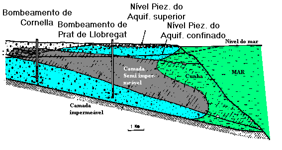 Aq&uuml;&iacute;fero Costeiro