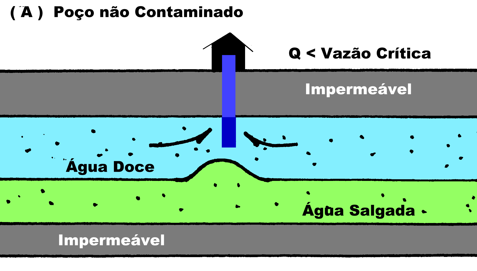 Aq&uuml;&iacute;fero Costeiro