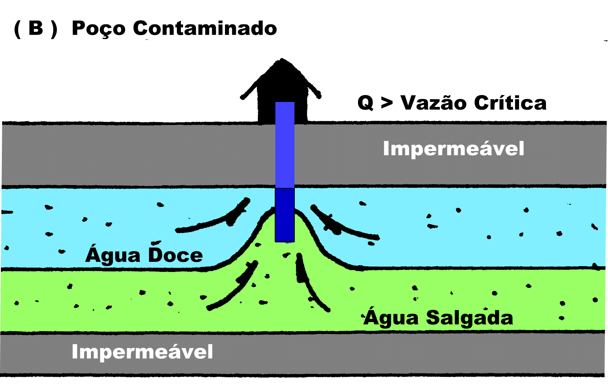 Aq&uuml;&iacute;fero Costeiro