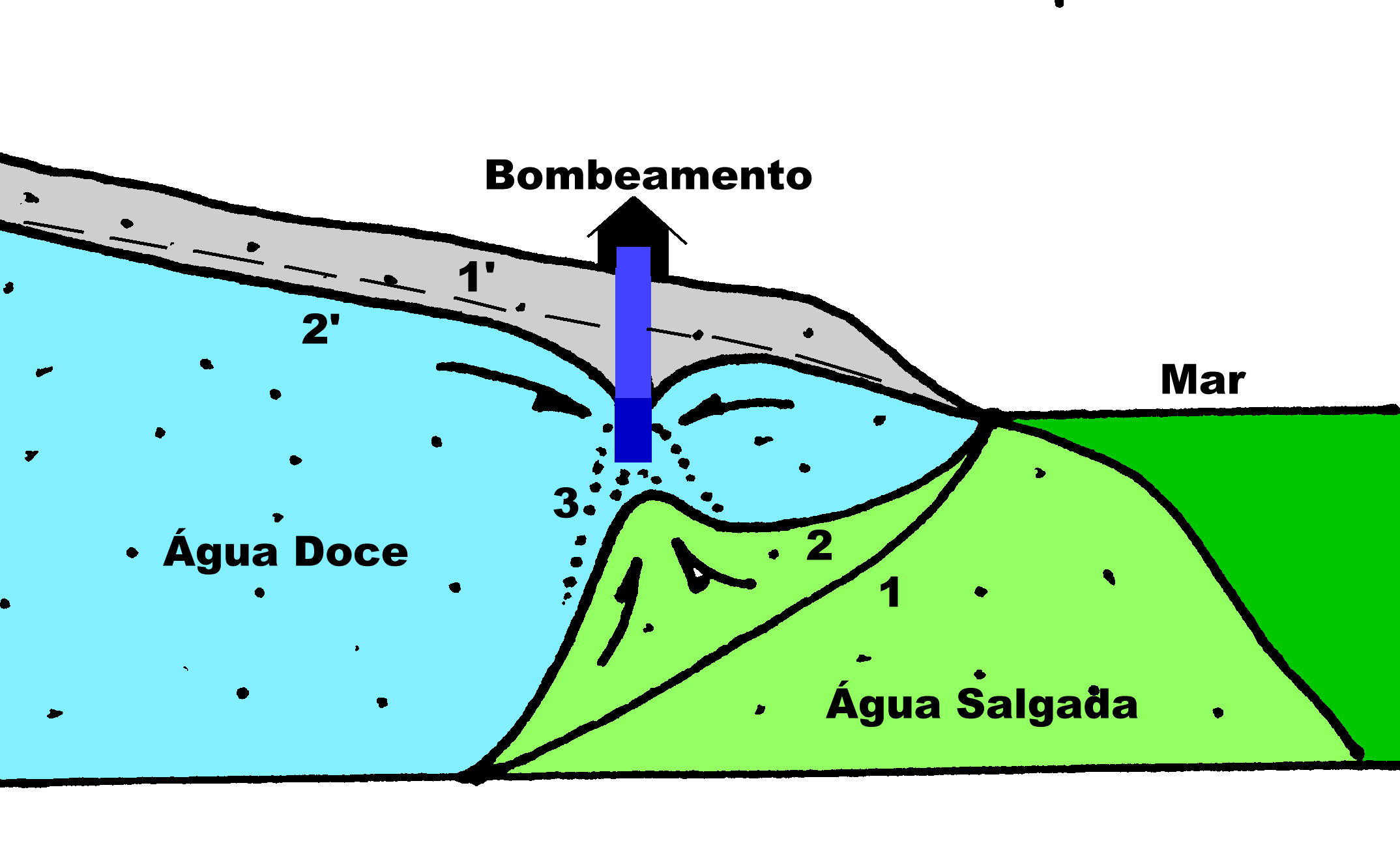 Aq&uuml;&iacute;fero Costeiro
