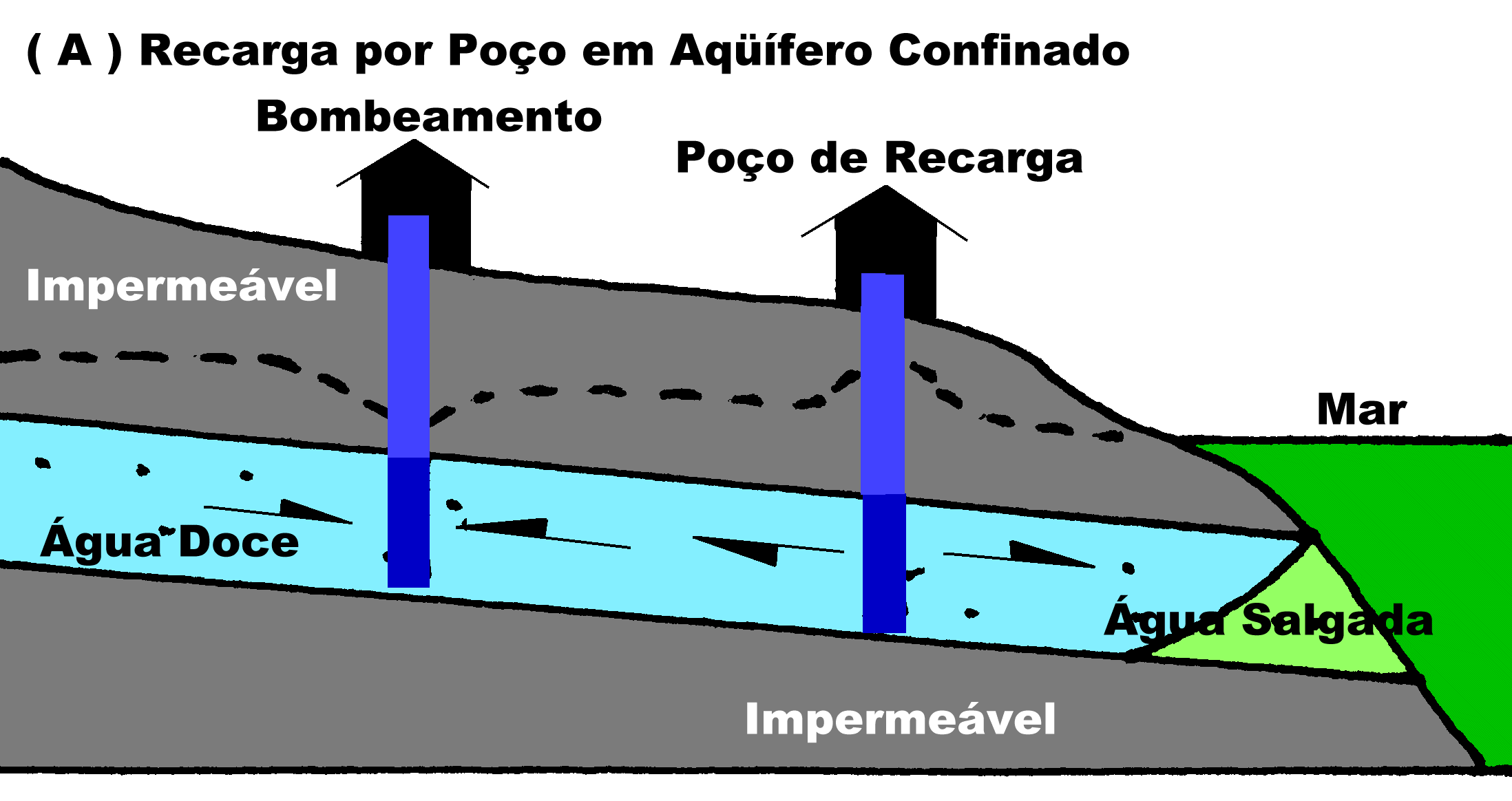 Aq&uuml;&iacute;fero Costeiro