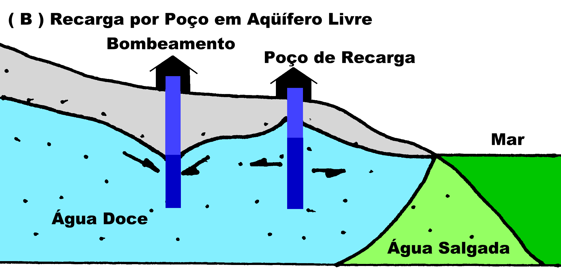 Aq&uuml;&iacute;fero Costeiro