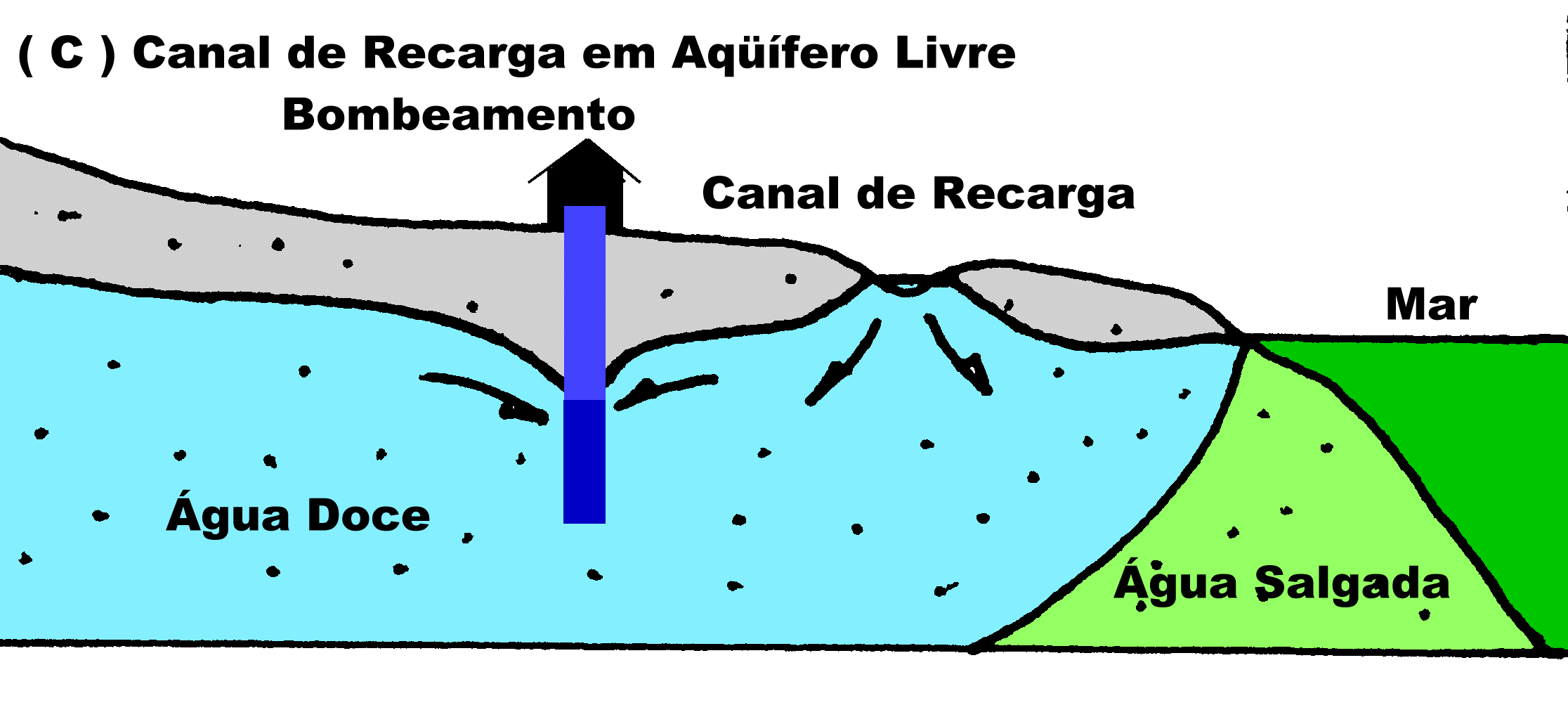 Aq&uuml;&iacute;fero Costeiro