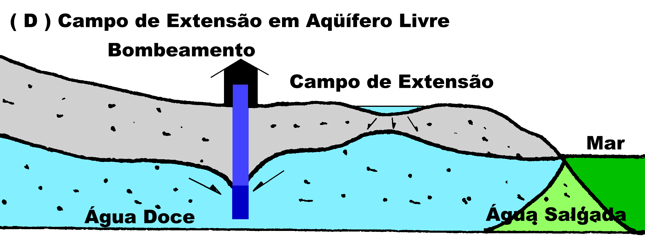 Aq&uuml;&iacute;fero Costeiro