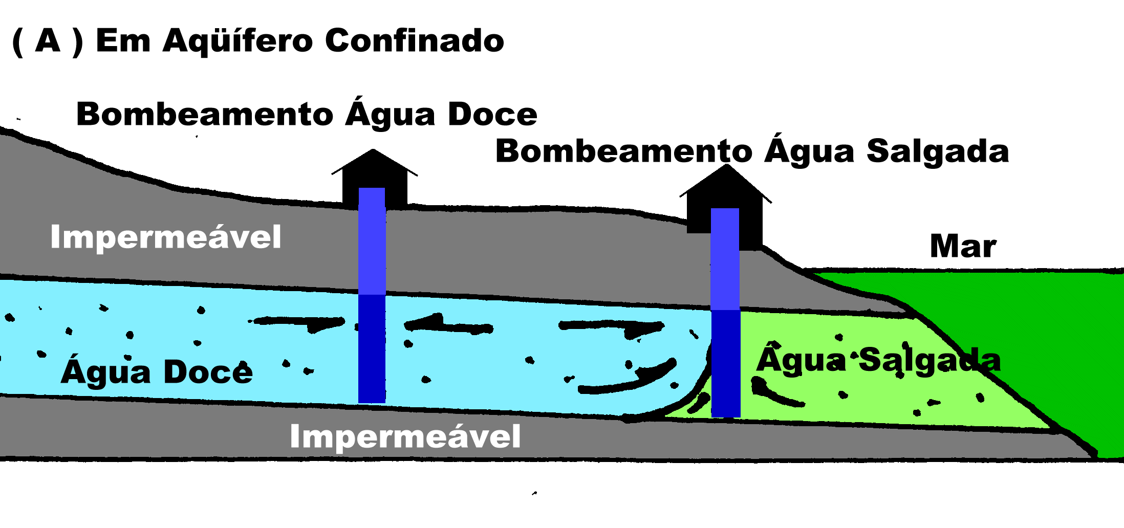 Aq&uuml;&iacute;fero Costeiro