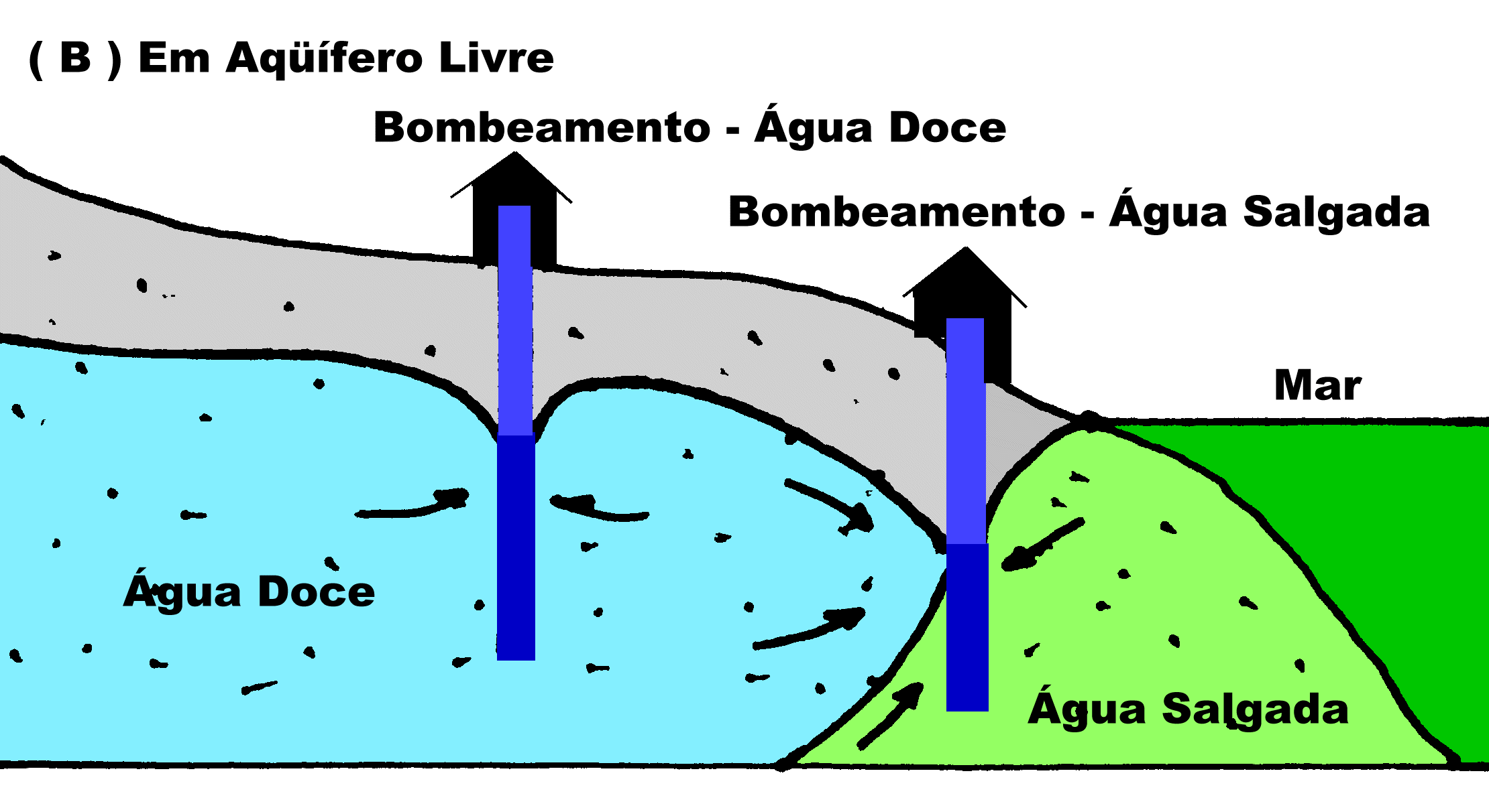 Aq&uuml;&iacute;fero Costeiro