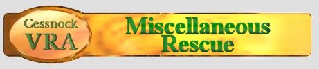 Miscellaneous