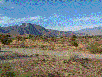 desert.gif