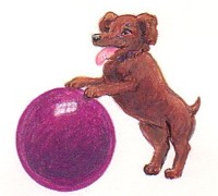 ball and dog