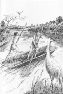 canoe