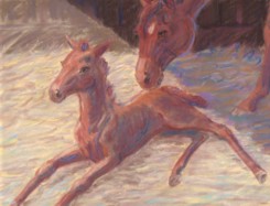 mare and foal