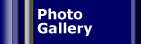Photos.