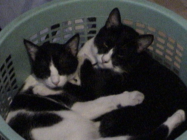 atila and gengis....