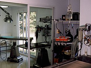 Surgery