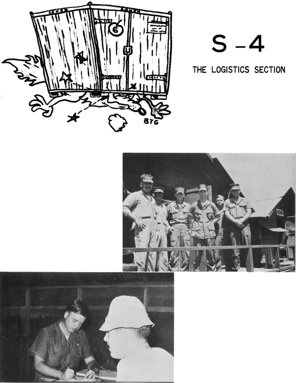 p31.jpg