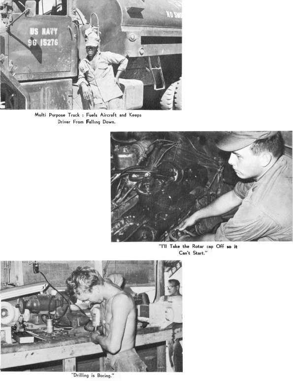 p33.jpg
