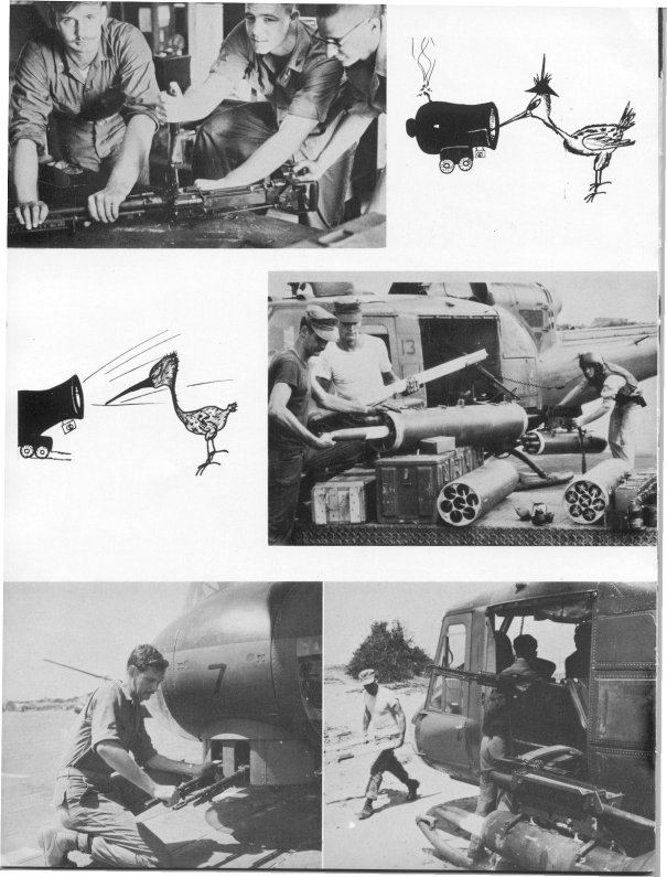 p36.jpg