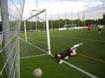 C.F.F. SUR-GETAFE B