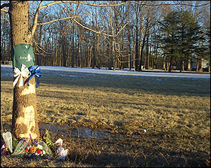 The tree on Sunday, February 8, 2004