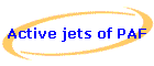 Active jets of PAF