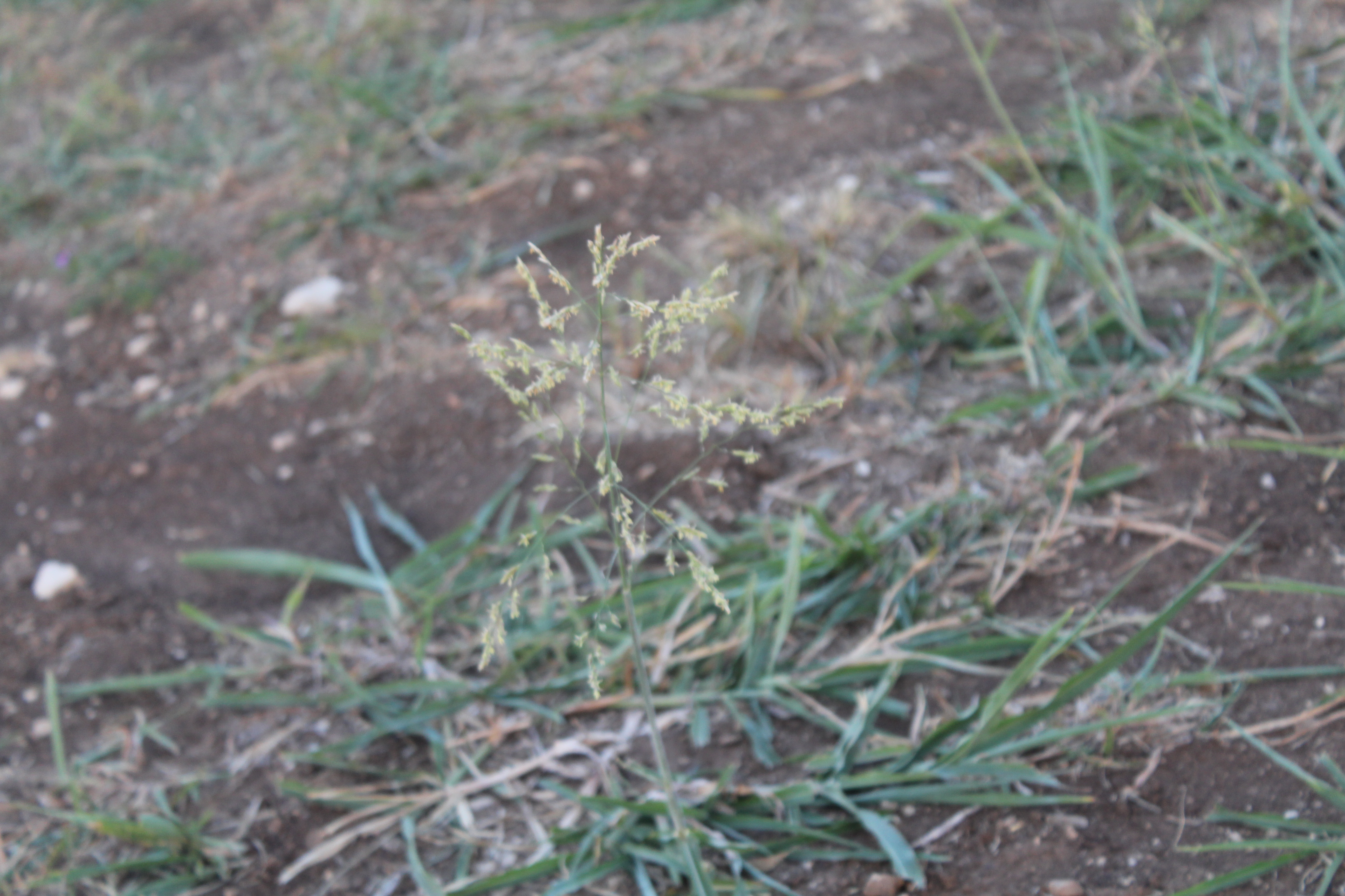 nature2