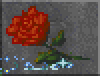 Rose.gif (2.7k)
