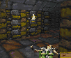 Lever 10 - D.gif