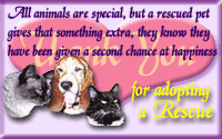 Adopt a  Rescue Award