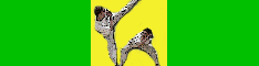 baner.gif (10715 bytes)