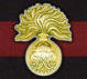 Regimental color and capbrass
