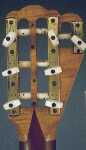 7-string headstock back