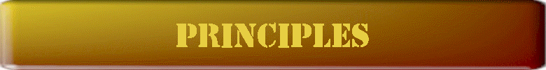 Principles