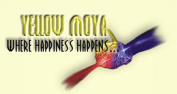 ...whether you want to be happy or not