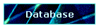 Database