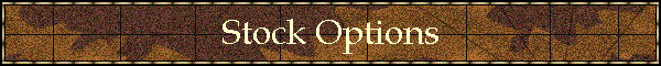 Stock Options